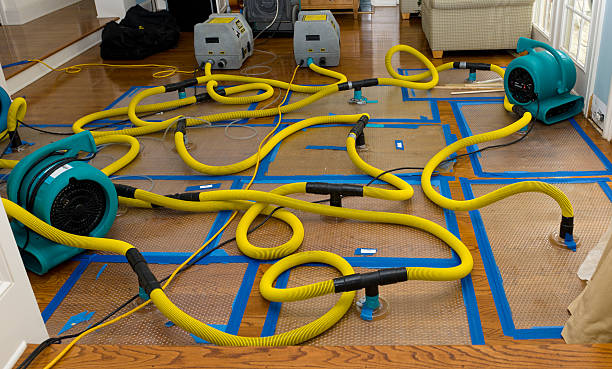 Professional Crawl Space Water Removal technician working in Pinola, MS